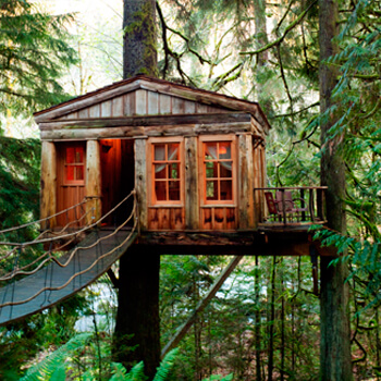 Econom Treehouse